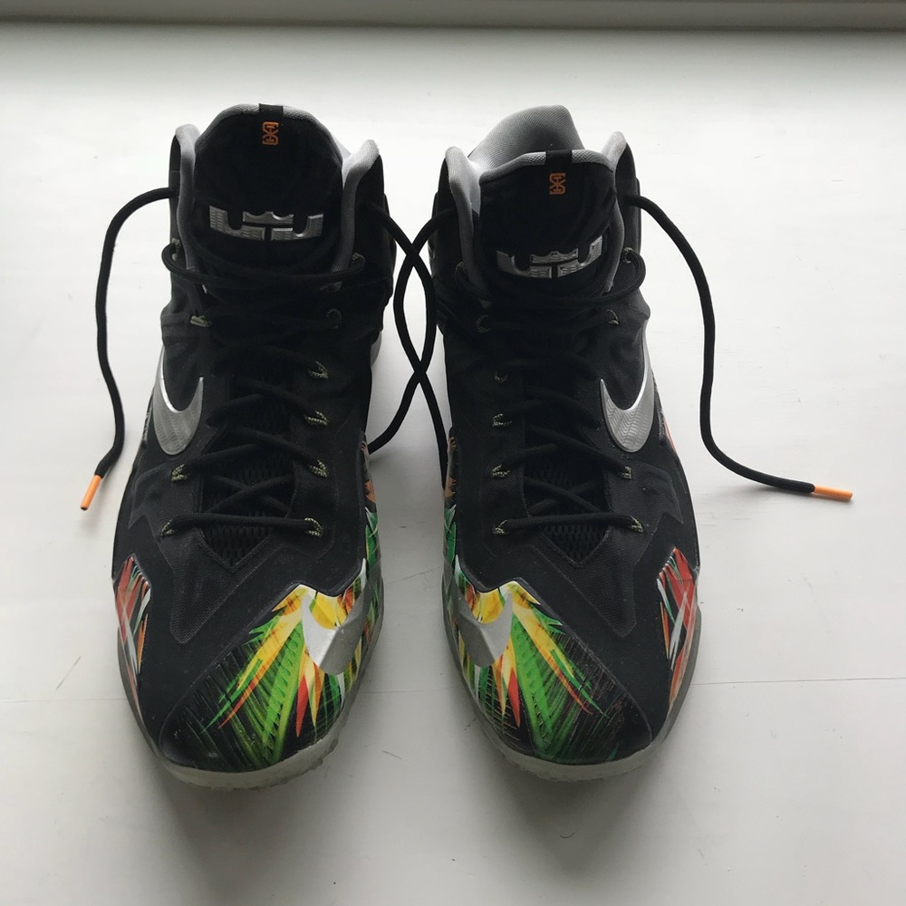 Nike LeBron 11 floral